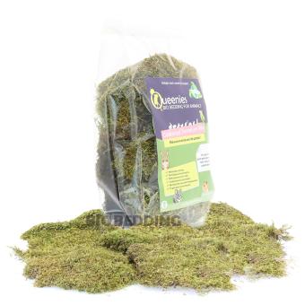 Bio Bedding gedroogd mos – decoratief product voor B2B-retailers